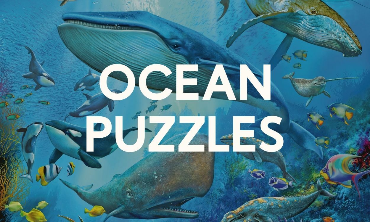 Ocean Puzzles